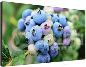 液晶拼接屏出現色差應該如何維修？